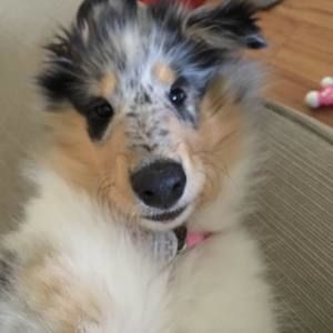 Meet your Posher, Amber